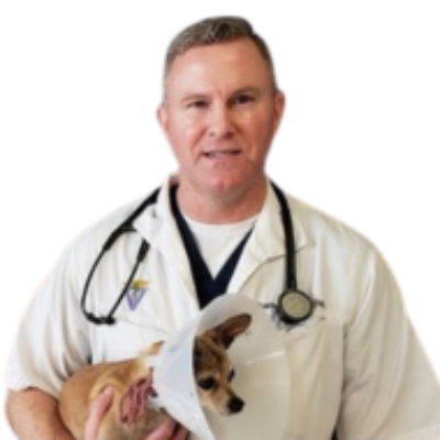 Dr. Austin Stitzer